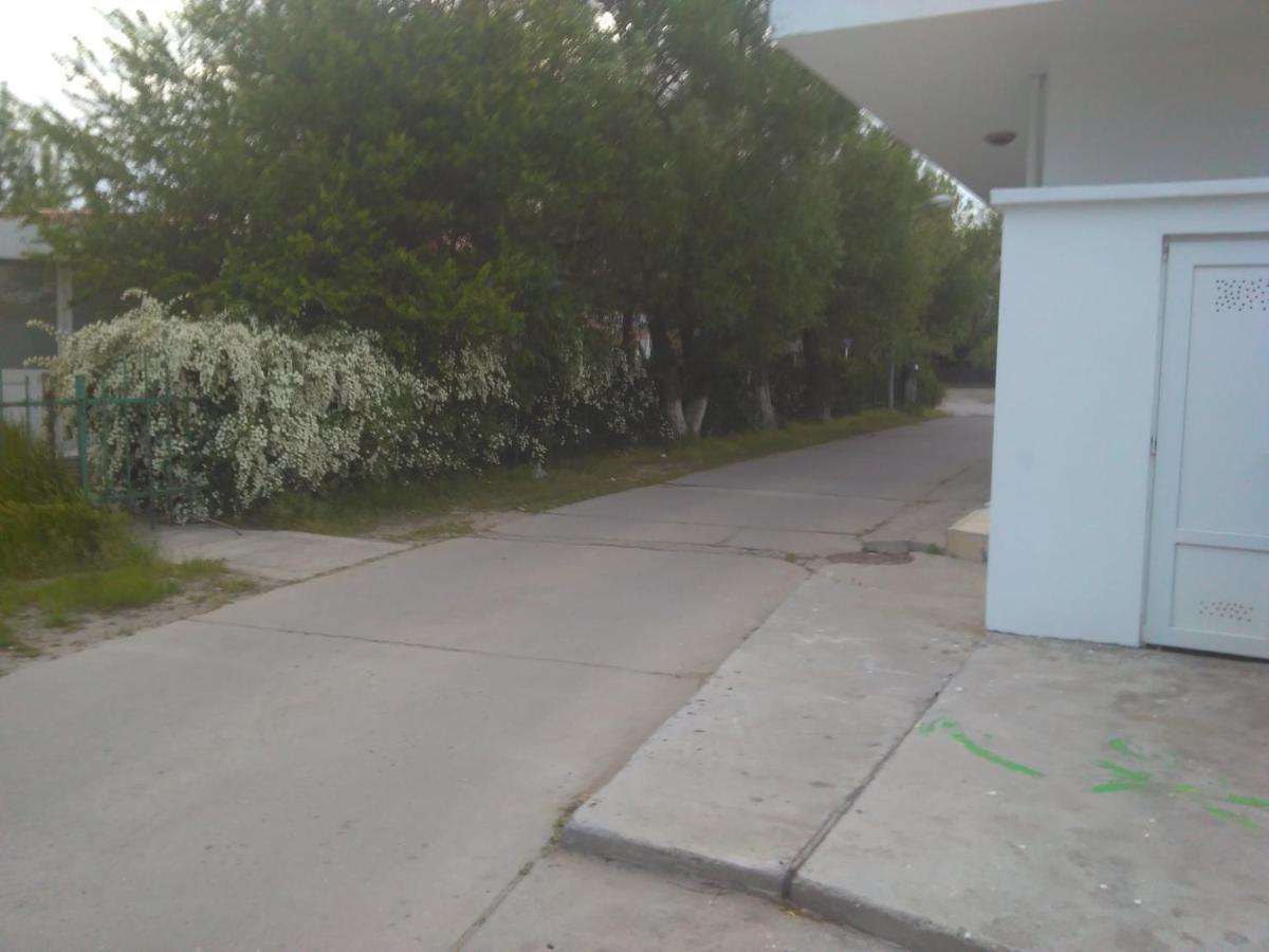 Pensiunea Scoika Steaguri Neptun Dış mekan fotoğraf